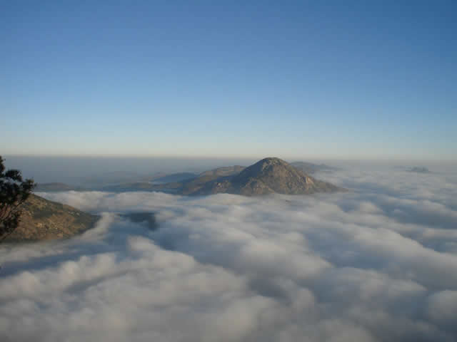 Best Travels in Madurai, Best Cab service in Madurai, Best Taxi service in Madurai, Travels in Madurai, Travel Agents Madurai, madurai tour operator, Madurai tour operators, Best tours and travels for Honeymoon packages, best tours and travels for international tours, tours and travels Madurai, Madurai Travel Agents, Travel agents in Madurai, Tour Operator in Madurai, Best Travels Agents in Tamilnadu, Best Travel Agents in South Tamilnadu, Best Travels agents in South India, Best Tour Operator in Madurai, Best Tour Operator in South India, Tempo Traveller in Madurai, Best Tours and Travels in Madurai, Cheap & Best Honeymoon packages and destinations, Kodaikanal Tour Packages , Kerala tour packages,   International Tour packages, international tours and travels Madurai, India tours and travels Madurai, best tour operator in Madurai, GR tours and travels, Honeymoon tours and travels, madurai taxi, cabs in madurai, car hire in madurai, madurai travels agency, Madurai tour taxi, madurai travels, cab booking in madurai, madurai car rental tariff, tempo traveller for rent in madurai, ltc tour pacakges in madurai , best travels in madurai, travels in madurai, madurai travels, kerala tour operator madurai, rameshwaram tour operator, kodaikanal tour operator, munnar tour operator , cochin tour operator, allepey tour operator, tirupati tour operator, meenakshi temple tour operator, goa tour operator, ooty tour operator, coorg tour operator, mysore tour operator, bangalore tour operator, ltc tour operator, LTC Packages, Madurai travel agency, Madurai tourist packages, Madurai sightseeing tours, Madurai temple tours, Madurai heritage tours, Madurai day trips, best travel agency in Madurai, affordable travel packages Madurai, Madurai car rentals, Madurai travel guide, Madurai to Rameshwaram tour, Madurai city tours, customized travel plans Madurai, Madurai adventure tours, Madurai cultural tours, top tourist attractions in Madurai, Madurai honeymoon packages, Madurai weekend getaways, Madurai family tours, Madurai historical tours, Madurai travel agency, all India travel support, India travel packages, Madurai to India tours, pan India travel services, Madurai travel support, nationwide travel assistance, India tour operator Madurai, Madurai travel experts, India travel agency Madurai, Madurai to India travel plans, India tour packages from Madurai, Madurai-based travel services, all India tour packages, comprehensive travel support Madurai, Madurai travel bookings, travel consultant Madurai India, India travel deals from Madurai, Madurai travel company, Madurai travel solutions India, Madurai holiday packages, India sightseeing tours from Madurai, customized India tours Madurai, Madurai adventure tours India, India cultural tours Madurai, Madurai family tours India, India honeymoon packages Madurai, Madurai pilgrimage tours, India group tours Madurai, Madurai luxury travel packages, India wildlife tours Madurai, Madurai heritage tours India, India trekking tours Madurai, Madurai weekend getaways India, India vacation packages Madurai, Madurai business travel services, India travel itineraries Madurai, Madurai tour planner, India tour packages, Madurai travel guide, Madurai car rentals India, India flight bookings Madurai, Madurai train bookings India, India travel consultant Madurai, Madurai vacation planner, India travel deals, Madurai holiday planner, India tour guide Madurai, Madurai Tourism, Madurai Tour Packages, Best Places to Visit in Madurai, Madurai Temple Tours, Meenakshi Temple Madurai, Madurai City Tour, Historical Sites in Madurai, Madurai Cultural Tour, Madurai Heritage Walks, Top Attractions in Madurai, Madurai Food Tour, Madurai Sightseeing, Madurai Travel Guide, Madurai Day Trips, Madurai Vacation Packages, Madurai Local Experiences, Madurai Pilgrimage Tour, Madurai Holiday Packages, Madurai Car Rental, Madurai Guided Tours, Luxury Tours in Madurai, Budget Tours Madurai, Madurai Family Tours, Madurai Honeymoon Packages, Madurai Group Tours, Madurai Tour Operators, Madurai Tour Planner, Madurai Custom Tours, Madurai Adventure Tours, Madurai Travel Deals, Madurai Weekend Getaway, Madurai Sightseeing Bus, Madurai Historical Monuments, Madurai Shopping Tour, Madurai Night Tour, Madurai Photography Tour, Best Time to Visit Madurai, Madurai Festivals and Events, Madurai Travel Agency, India travel agency, Best travel agency in India, All India tour packages, Budget India tours, Family vacation packages India, Adventure tours India, Wildlife tours India, India travel planning, Customized India tours, Group tours India, Solo travel packages India, Corporate travel services India, Affordable India travel packages, Top 10 places to visit in India, How to plan a trip to India, India travel tips and advice, Best travel destinations, Affordable tour packages, Adventure travel tours, Luxury travel experiences, Family vacation packages, Summer vacation packages.