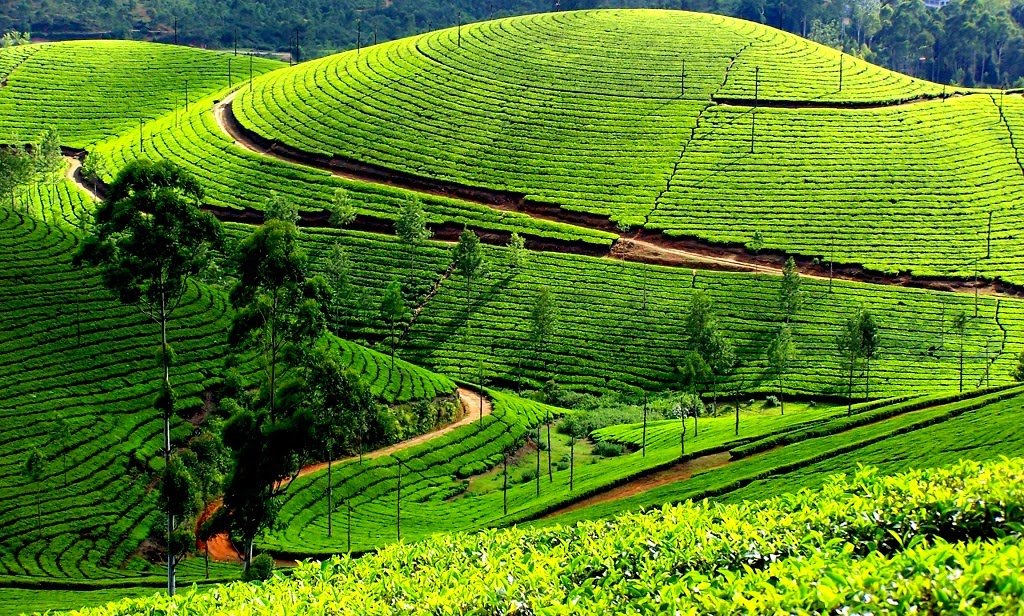 Hill Station Packages