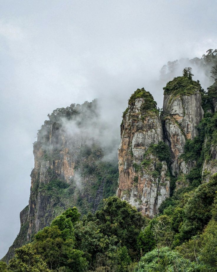 Hill Station Packages