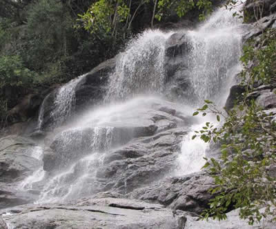 Best Travels in Madurai, Best Tour travel in Madurai, Taxi in Madurai,Car Hire in Madurai, Call Taxi in Madurai, Best Tour Operator in Madurai,Travels in Madurai,Online Cab Booking in Madurai,Car rental in Madurai