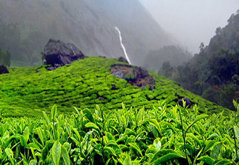 Best Travels in Madurai, Best Tour travel in Madurai, Taxi in Madurai,Car Hire in Madurai, Call Taxi in Madurai, Best Tour Operator in Madurai,Travels in Madurai,Online Cab Booking in Madurai,Car rental in Madurai