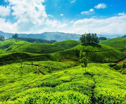 Best Travels in Madurai, Best Tour travel in Madurai, Taxi in Madurai,Car Hire in Madurai, Call Taxi in Madurai, Best Tour Operator in Madurai,Travels in Madurai,Online Cab Booking in Madurai,Car rental in Madurai