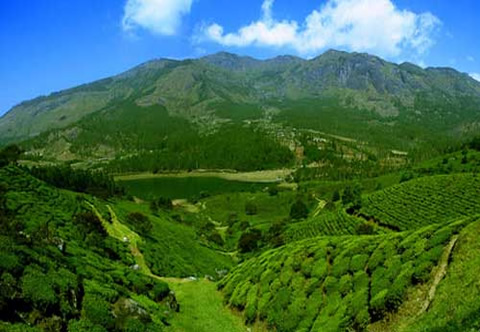 Best Travels in Madurai, Best Tour travel in Madurai, Taxi in Madurai,Car Hire in Madurai, Call Taxi in Madurai, Best Tour Operator in Madurai,Travels in Madurai,Online Cab Booking in Madurai,Car rental in Madurai