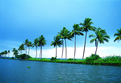 Best Travels in Madurai, Best Tour travel in Madurai, Taxi in Madurai,Car Hire in Madurai, Call Taxi in Madurai, Best Tour Operator in Madurai,Travels in Madurai,Online Cab Booking in Madurai,Car rental in Madurai