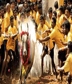 Best Travels in Madurai, Best Tour travel in Madurai, Taxi in Madurai,Car Hire in Madurai, Call Taxi in Madurai, Best Tour Operator in Madurai,Travels in Madurai,Online Cab Booking in Madurai,Car rental in Madurai
