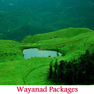 Best Travels in Madurai, Best Cab service in Madurai, Best Taxi service in Madurai, Travels in Madurai, Travel Agents Madurai, madurai tour operator, Madurai tour operators, Best tours and travels for Honeymoon packages, best tours and travels for international tours, tours and travels Madurai, Madurai Travel Agents, Travel agents in Madurai, Tour Operator in Madurai, Best Travels Agents in Tamilnadu, Best Travel Agents in South Tamilnadu, Best Travels agents in South India, Best Tour Operator in Madurai, Best Tour Operator in South India, Tempo Traveller in Madurai, Best Tours and Travels in Madurai, Cheap & Best Honeymoon packages and destinations, Kodaikanal Tour Packages , Kerala tour packages,   International Tour packages, international tours and travels Madurai, India tours and travels Madurai, best tour operator in Madurai, GR tours and travels, Honeymoon tours and travels, madurai taxi, cabs in madurai, car hire in madurai, madurai travels agency, Madurai tour taxi, madurai travels, cab booking in madurai, madurai car rental tariff, tempo traveller for rent in madurai, ltc tour pacakges in madurai , best travels in madurai, travels in madurai, madurai travels, kerala tour operator madurai, rameshwaram tour operator, kodaikanal tour operator, munnar tour operator , cochin tour operator, allepey tour operator, tirupati tour operator, meenakshi temple tour operator, goa tour operator, ooty tour operator, coorg tour operator, mysore tour operator, bangalore tour operator, ltc tour operator, LTC Packages, Madurai travel agency, Madurai tourist packages, Madurai sightseeing tours, Madurai temple tours, Madurai heritage tours, Madurai day trips, best travel agency in Madurai, affordable travel packages Madurai, Madurai car rentals, Madurai travel guide, Madurai to Rameshwaram tour, Madurai city tours, customized travel plans Madurai, Madurai adventure tours, Madurai cultural tours, top tourist attractions in Madurai, Madurai honeymoon packages, Madurai weekend getaways, Madurai family tours, Madurai historical tours, Madurai travel agency, all India travel support, India travel packages, Madurai to India tours, pan India travel services, Madurai travel support, nationwide travel assistance, India tour operator Madurai, Madurai travel experts, India travel agency Madurai, Madurai to India travel plans, India tour packages from Madurai, Madurai-based travel services, all India tour packages, comprehensive travel support Madurai, Madurai travel bookings, travel consultant Madurai India, India travel deals from Madurai, Madurai travel company, Madurai travel solutions India, Madurai holiday packages, India sightseeing tours from Madurai, customized India tours Madurai, Madurai adventure tours India, India cultural tours Madurai, Madurai family tours India, India honeymoon packages Madurai, Madurai pilgrimage tours, India group tours Madurai, Madurai luxury travel packages, India wildlife tours Madurai, Madurai heritage tours India, India trekking tours Madurai, Madurai weekend getaways India, India vacation packages Madurai, Madurai business travel services, India travel itineraries Madurai, Madurai tour planner, India tour packages, Madurai travel guide, Madurai car rentals India, India flight bookings Madurai, Madurai train bookings India, India travel consultant Madurai, Madurai vacation planner, India travel deals, Madurai holiday planner, India tour guide Madurai, Madurai Tourism, Madurai Tour Packages, Best Places to Visit in Madurai, Madurai Temple Tours, Meenakshi Temple Madurai, Madurai City Tour, Historical Sites in Madurai, Madurai Cultural Tour, Madurai Heritage Walks, Top Attractions in Madurai, Madurai Food Tour, Madurai Sightseeing, Madurai Travel Guide, Madurai Day Trips, Madurai Vacation Packages, Madurai Local Experiences, Madurai Pilgrimage Tour, Madurai Holiday Packages, Madurai Car Rental, Madurai Guided Tours, Luxury Tours in Madurai, Budget Tours Madurai, Madurai Family Tours, Madurai Honeymoon Packages, Madurai Group Tours, Madurai Tour Operators, Madurai Tour Planner, Madurai Custom Tours, Madurai Adventure Tours, Madurai Travel Deals, Madurai Weekend Getaway, Madurai Sightseeing Bus, Madurai Historical Monuments, Madurai Shopping Tour, Madurai Night Tour, Madurai Photography Tour, Best Time to Visit Madurai, Madurai Festivals and Events, Madurai Travel Agency, India travel agency, Best travel agency in India, All India tour packages, Budget India tours, Family vacation packages India, Adventure tours India, Wildlife tours India, India travel planning, Customized India tours, Group tours India, Solo travel packages India, Corporate travel services India, Affordable India travel packages, Top 10 places to visit in India, How to plan a trip to India, India travel tips and advice, Best travel destinations, Affordable tour packages, Adventure travel tours, Luxury travel experiences, Family vacation packages, Summer vacation packages.