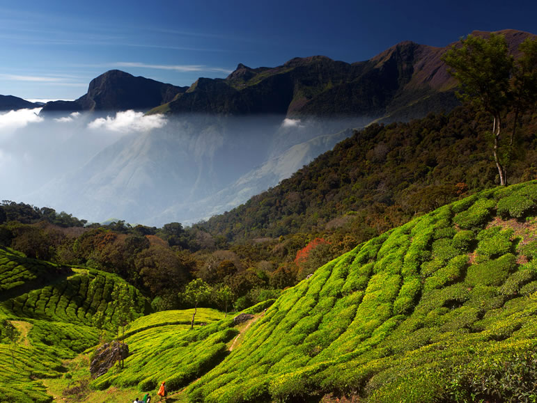  Taxi services for Madurai to Alleppey tour, Taxi services for Madurai to Munnar tour, Taxi services for Madurai to kodaikanal tour, Taxi services for Madurai to ooty tour