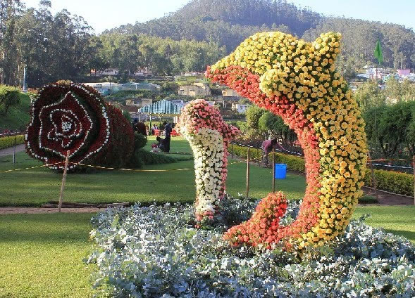 Best Tour packages in Tamil nadu, Best Tour packages in South India, Best Tour packages in North India, Best taxi services for affordable price in Madurai
