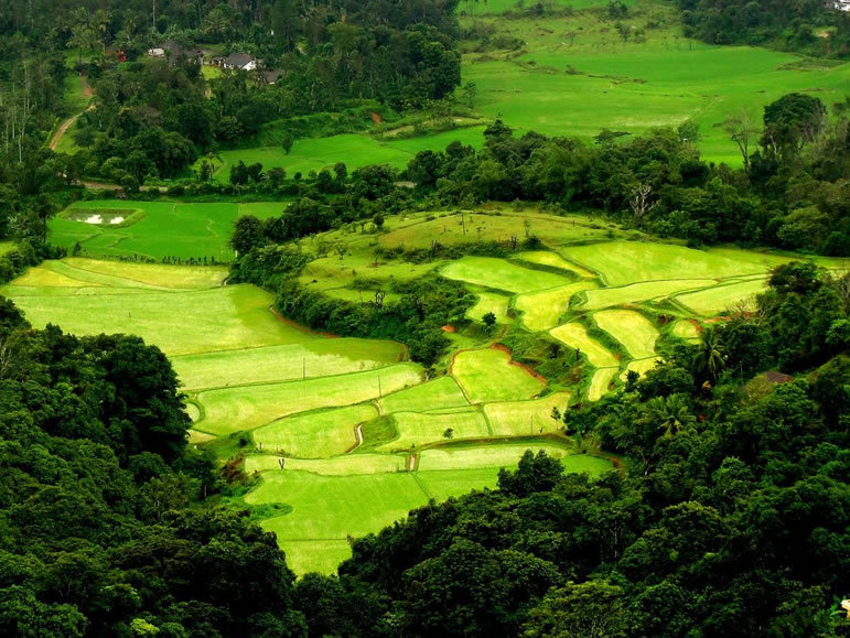 uxury Tours in Madurai, Budget Tours Madurai