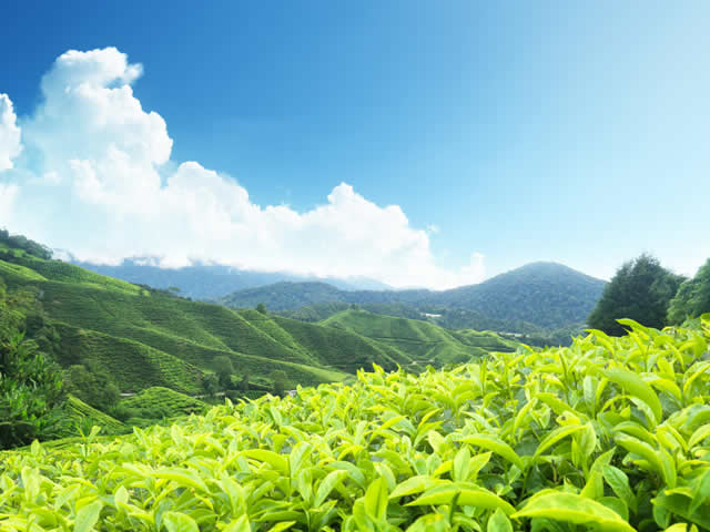 uxury Tours in Madurai, Budget Tours Madurai