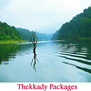 uxury Tours in Madurai, Budget Tours Madurai